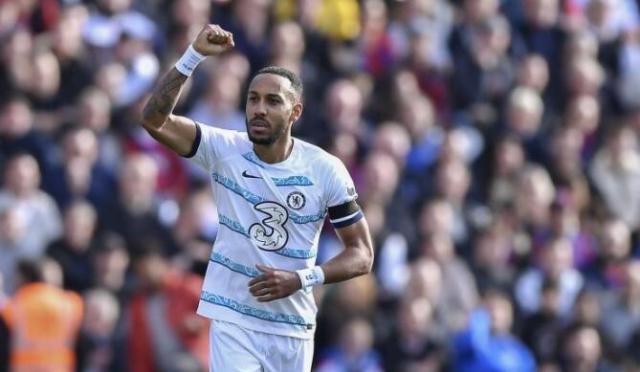 1675511084940031845.jpg 洋洋.jpg