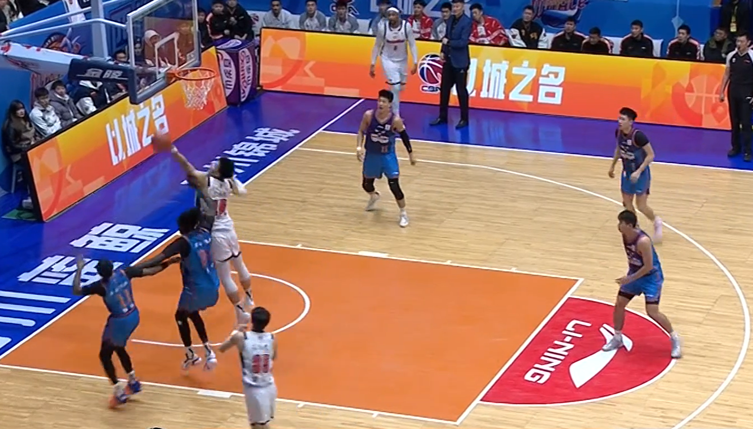 开云体育APP-有趣！CBA赛场来了一个不速之客 球迷：头一回见